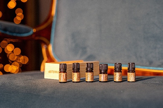 Наборы эфирных масел 'Ancient Kit' #6