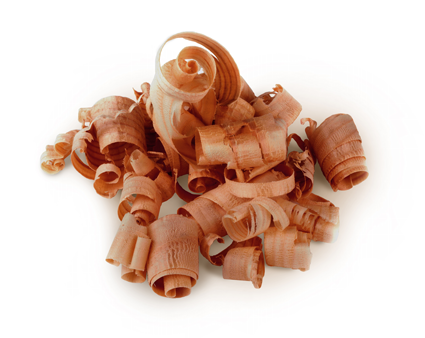 Эфирное масло doTERRA Туя, Arborvitae, 5 мл - Однокомпонентные эфирные масла - Каталог товаров