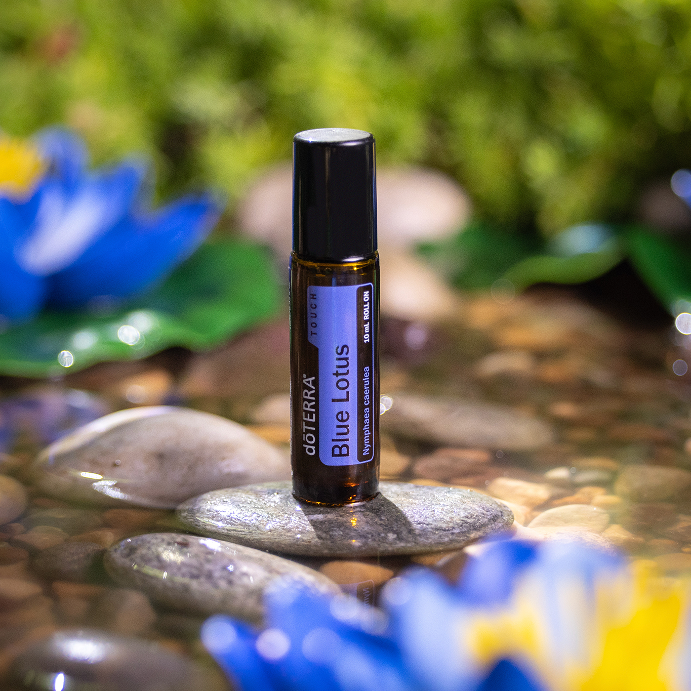 doTERRA Touch Голубой лотос, Blue Lotus, роллер 10 мл - Однокомпонентные эфирные масла - Каталог товаров