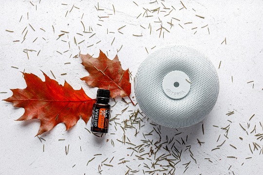 Диффузоры 'Brevi' #4