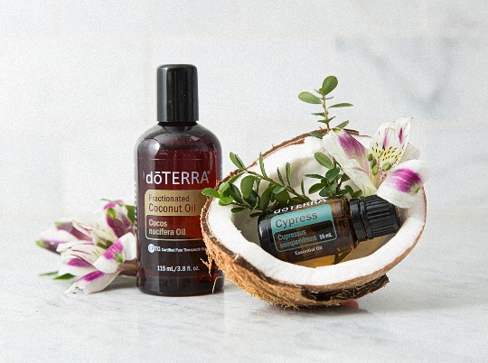 Однокомпонентное эфирное масло 'Cypress' #1