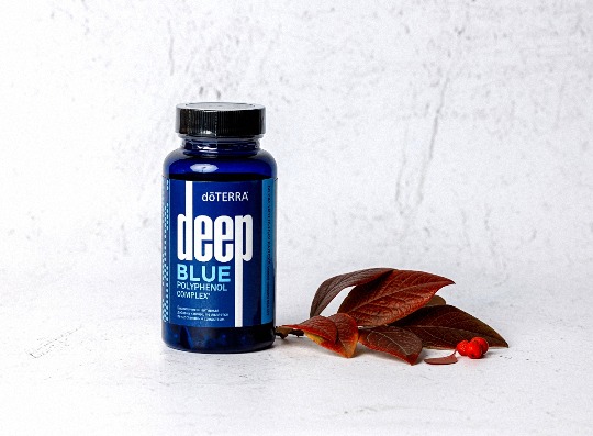 Пищевые добавки 'Deep Blue' #3