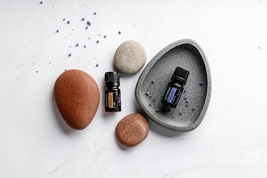 Однокомпонентное эфирное масло 'Caraway' #4