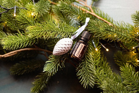 Однокомпонентное эфирное масло 'Cedarwood' #3