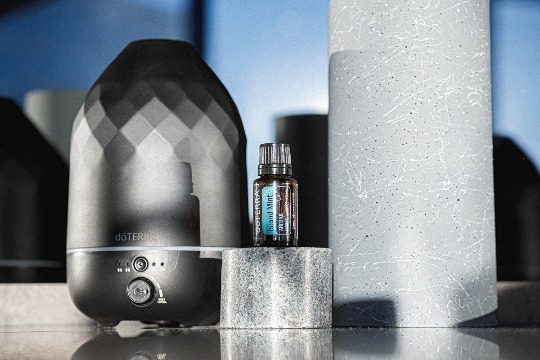 Диффузоры 'Volo' #27