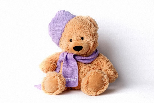 Аксессуары - игрушка Тедди #1