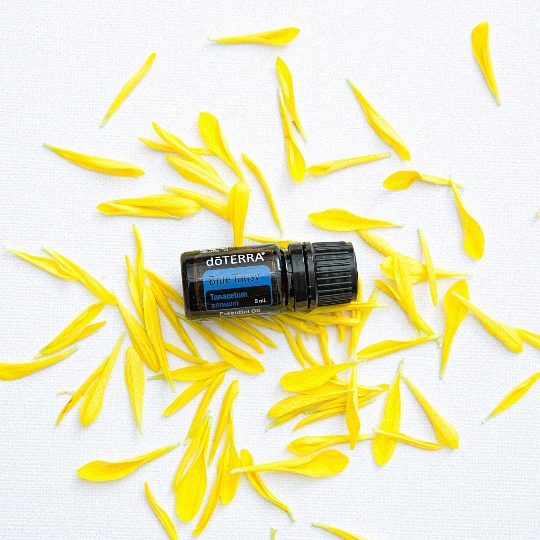 Однокомпонентное эфирное масло 'Blue Tansy' #1