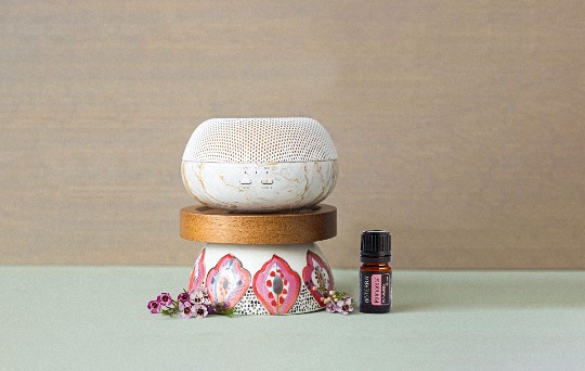 Диффузоры 'Brevi' #1