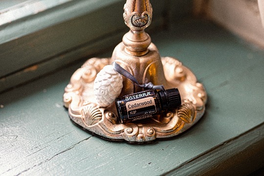 Однокомпонентное эфирное масло 'Cedarwood' #2