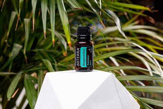 Однокомпонентное эфирное масло 'Bergamot-mint' #4