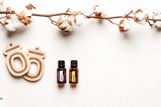 Диффузоры - деревянный диффузор #1