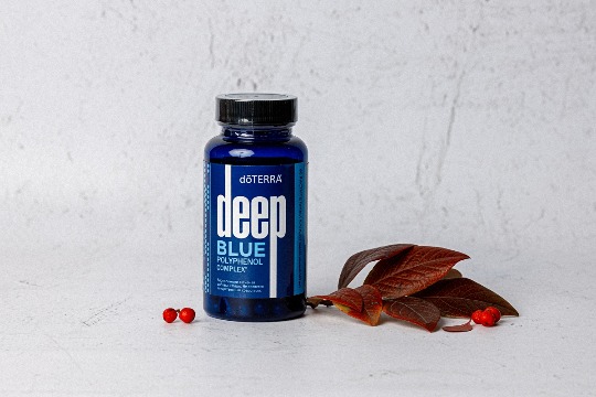 Пищевые добавки 'Deep Blue' #2