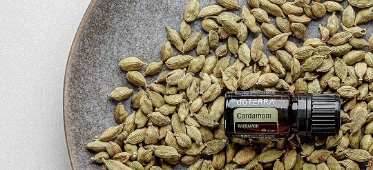 Однокомпонентное эфирное масло 'Cardamon' #1