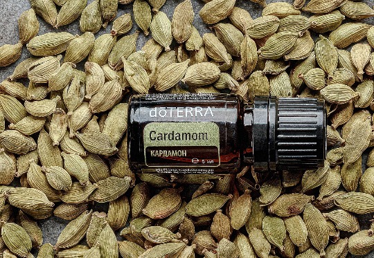 Однокомпонентное эфирное масло 'Cardamon' #3