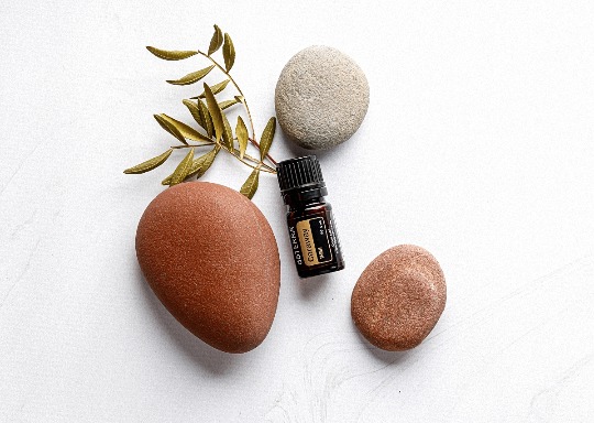 Однокомпонентное эфирное масло 'Caraway' #1