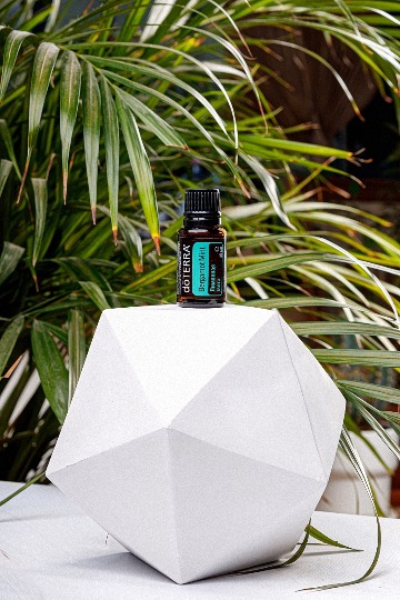 Однокомпонентное эфирное масло 'Bergamot-mint' #5