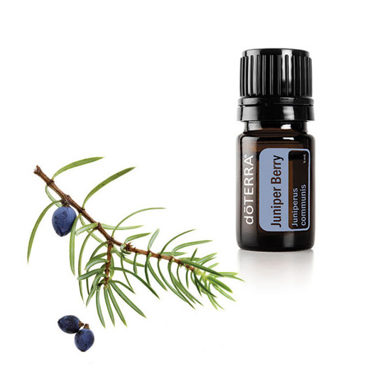 Эфирное масло doTERRA Можжевельник, juniper berry, 5 мл - Однокомпонентные эфирные масла - Каталог товаров