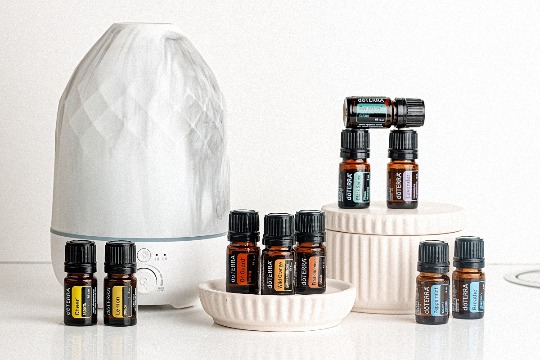 Однокомпонентное эфирное масло 'Black Spruce' #2