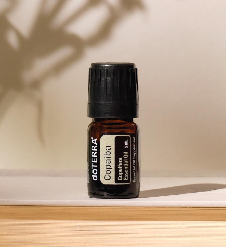 Эфирное масло doTERRA Копайба, Copaiba, 5 мл - Однокомпонентные эфирные масла - Каталог товаров