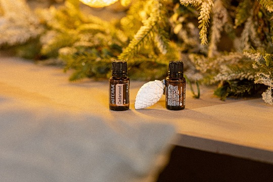 Однокомпонентное эфирное масло 'Cedarwood' #5