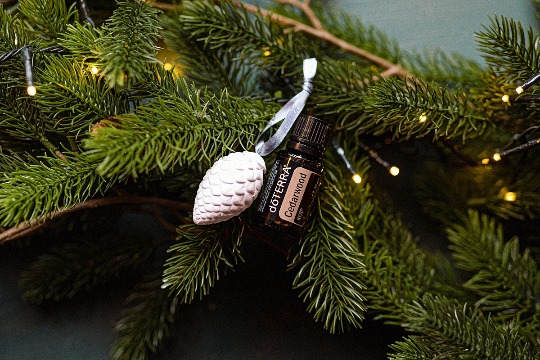 Однокомпонентное эфирное масло 'Cedarwood' #4