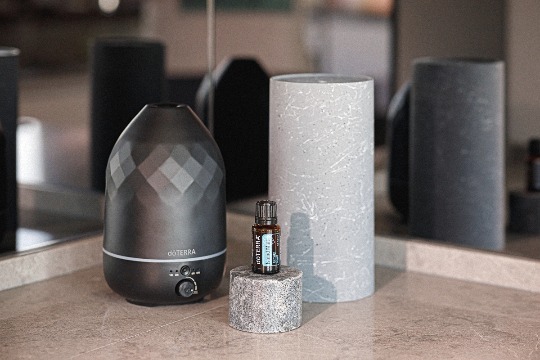 Диффузоры 'Volo' #26