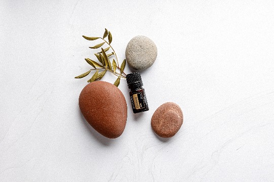 Однокомпонентное эфирное масло 'Caraway' #3