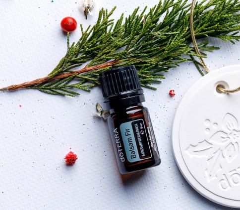 Эфирное масло doTERRA 'Бальзамическая пихта' ('Balsam Fir') - Однокомпонентные эфирные масла - Каталог товаров