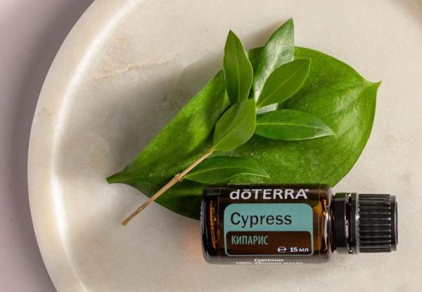 Эфирное масло doTERRA Кипарис, Cypress, 15 мл - Однокомпонентные эфирные масла - Каталог товаров