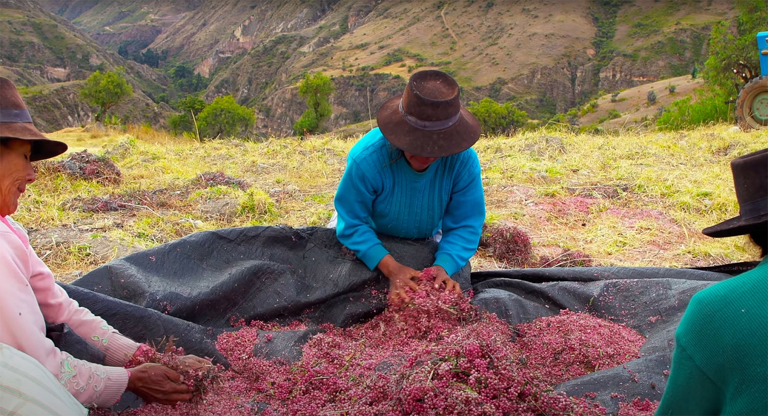 Эфирное масло 'Розовый перец'