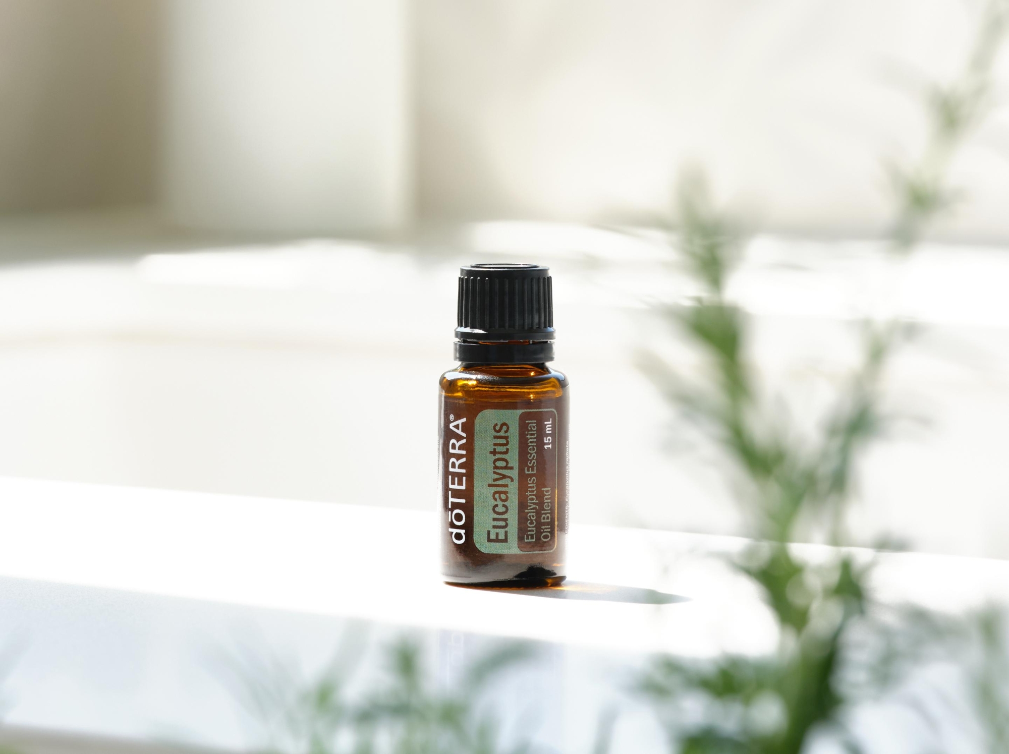 Смесь эфирных масел doTERRA Эвкалипт (из 5-ти уникальных видов), Eucalyptus, 15 мл - Однокомпонентные эфирные масла - Каталог товаров