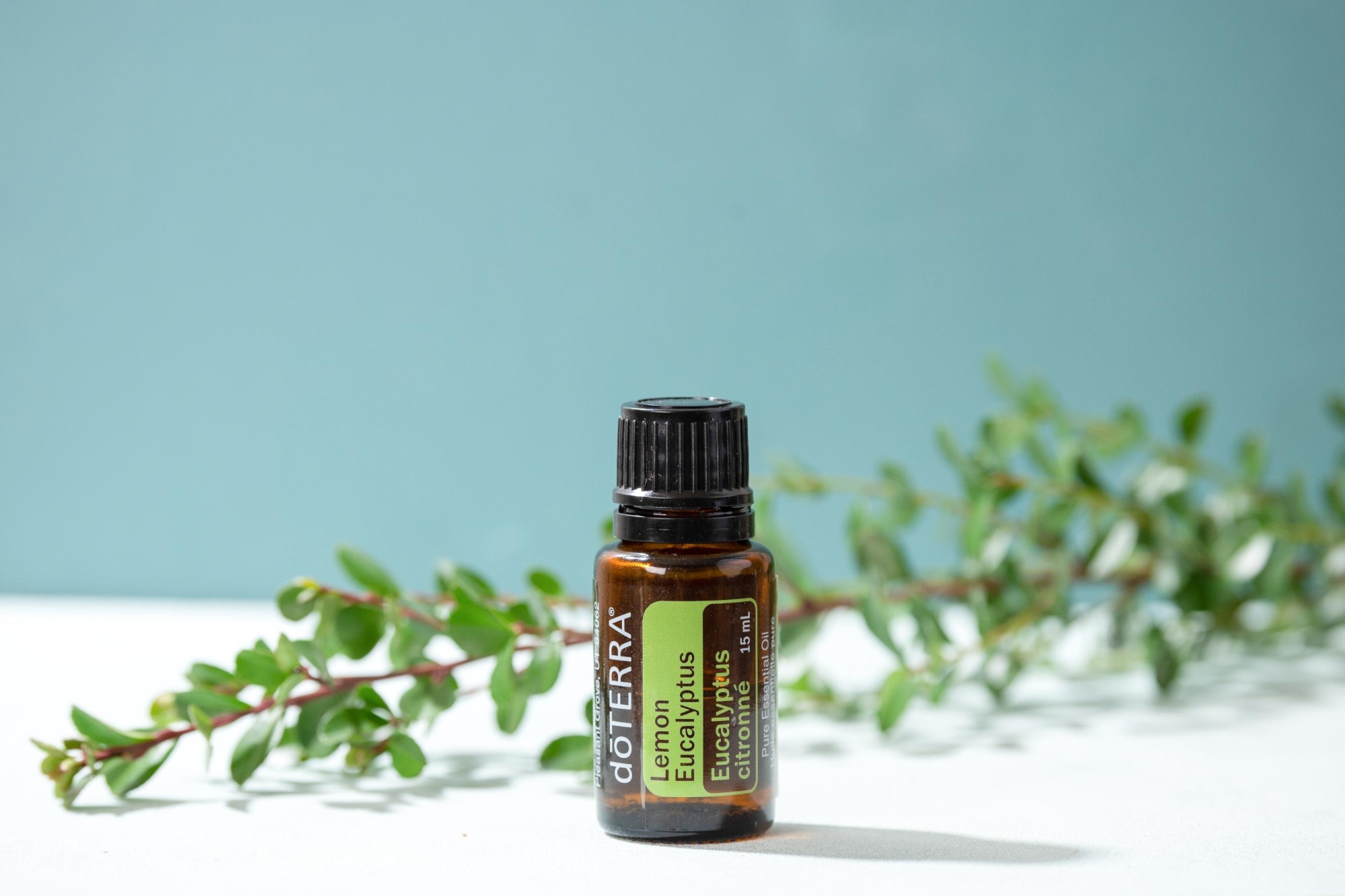 Эфирное масло doTERRA Лимонный эвкалипт, Lemon eucalyptus, 15 мл - Однокомпонентные эфирные масла - Каталог товаров