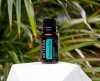 Эфирное масло doTERRA Лимонная мята, Bergamot Mint, 15 мл - Однокомпонентные эфирные масла - Каталог товаров