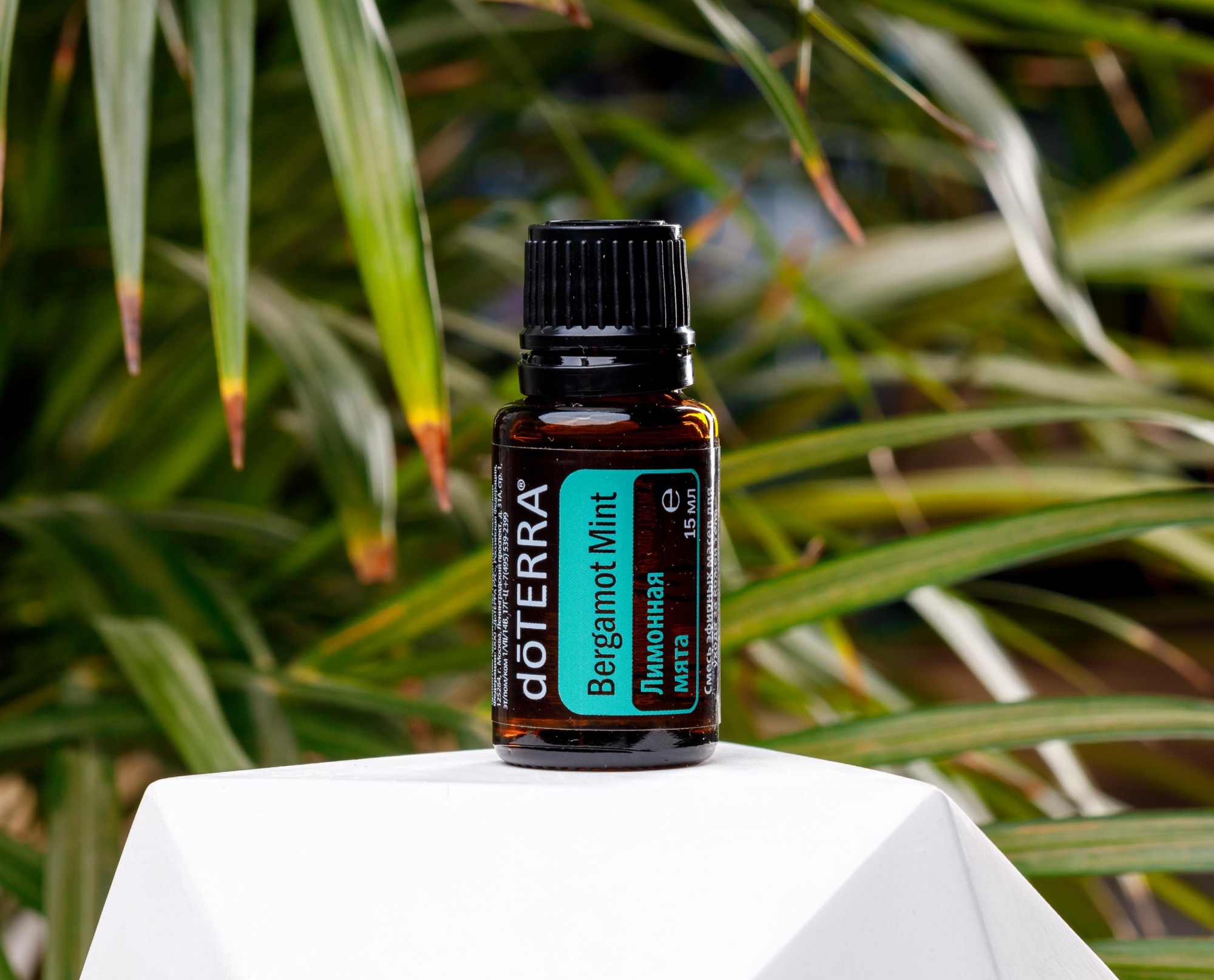 Эфирное масло doTERRA Лимонная мята, Bergamot Mint, 15 мл - Однокомпонентные эфирные масла - Каталог товаров