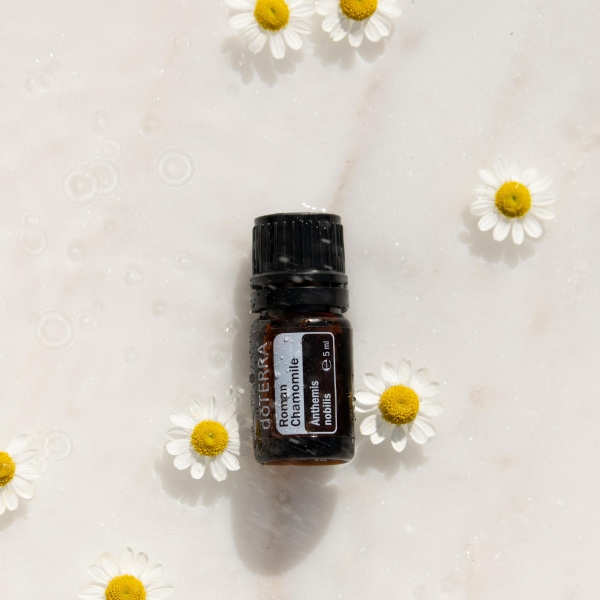 Эфирное масло doTERRA Римская ромашка, Roman Chamomile, 5 мл - Однокомпонентные эфирные масла - Каталог товаров