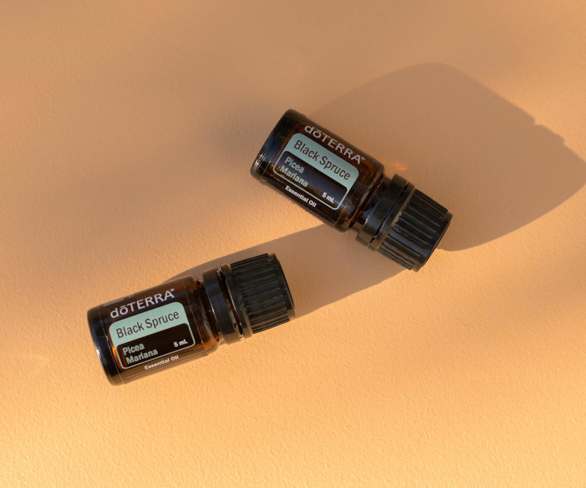 Эфирное масло doTERRA 'Чёрная ель' ('Black Spruce') - Однокомпонентные эфирные масла - Каталог товаров