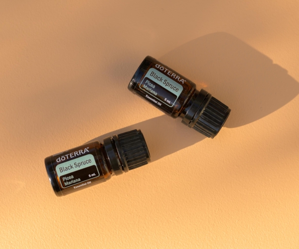 Эфирное масло doTERRA 'Чёрная ель' ('Black Spruce') - Однокомпонентные эфирные масла - Каталог товаров