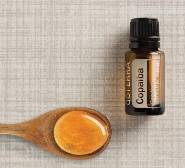 Эфирное масло doTERRA Копайба, Copaiba, 15 мл - Однокомпонентные эфирные масла - Каталог товаров