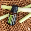 Эфирное масло doTERRA Лемонграсс, Lemongrass, 15 мл - Однокомпонентные эфирные масла - Каталог товаров