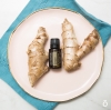 Эфирное масло doTERRA Имбирь, Ginger, 15 мл - Однокомпонентные эфирные масла - Каталог товаров