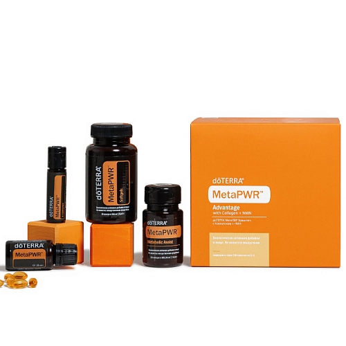 Регистрационные наборы - Catalog - s1 - Каталог товаров