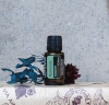 Эфирное масло doTERRA Розмарин, Rosemary, 15 мл - Однокомпонентные эфирные масла - Каталог товаров