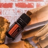 Эфирное масло doTERRA Корица, Сinnamon Bark, 5 мл - Однокомпонентные эфирные масла - Каталог товаров