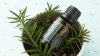 Эфирное масло doTERRA Сибирская пихта, Siberian Fir, 15 мл - Однокомпонентные эфирные масла - Каталог товаров