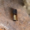 Эфирное масло doTERRA Хиноки, Hinoki, 5 мл - Однокомпонентные эфирные масла - Каталог товаров