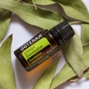 Эфирное масло doTERRA Лимонный эвкалипт, Lemon eucalyptus, 15 мл - Однокомпонентные эфирные масла - Каталог товаров