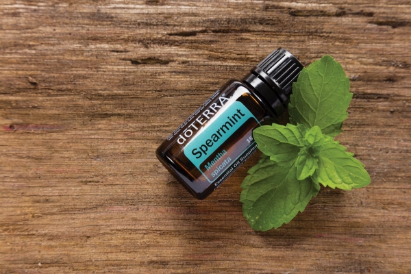 Эфирное масло doTERRA Садовая мята, Spearmint, 15 мл - Однокомпонентные эфирные масла - Каталог товаров