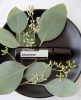 doTERRA Touch Jasmine, Жасмин, роллер 10 мл - Однокомпонентные эфирные масла - Каталог товаров