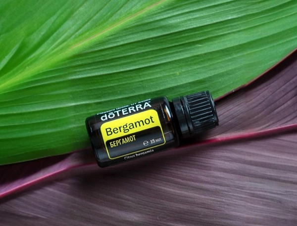 Эфирное масло doTERRA Бергамот, Bergamot, 15 мл - Однокомпонентные эфирные масла - Каталог товаров