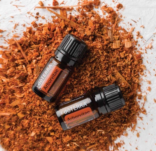 Эфирное масло doTERRA Туя, Arborvitae, 5 мл - Однокомпонентные эфирные масла - Каталог товаров